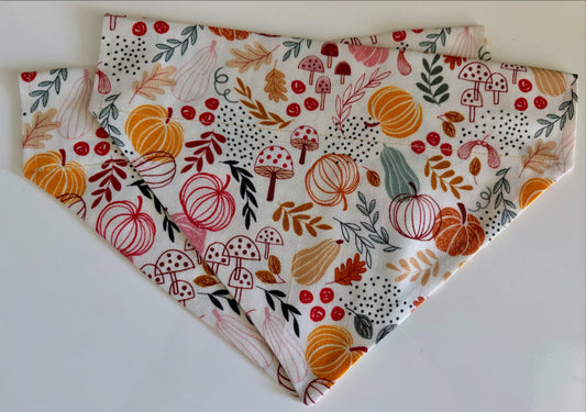 ‘Autumn Pumpkin’ Pet Bandana