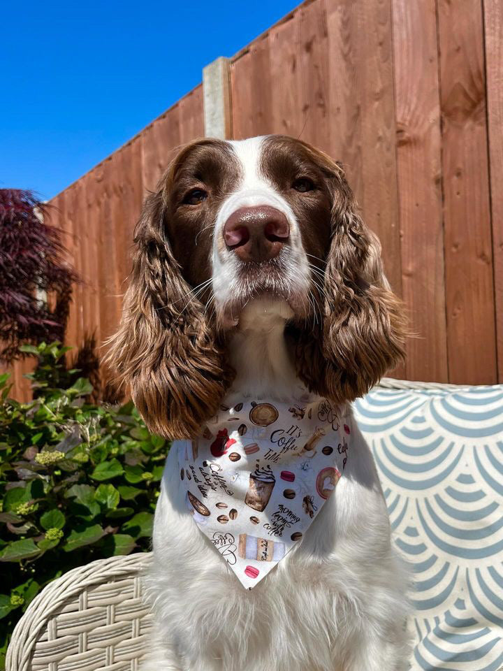 ‘Espresso Yourself’ Pet Bandana