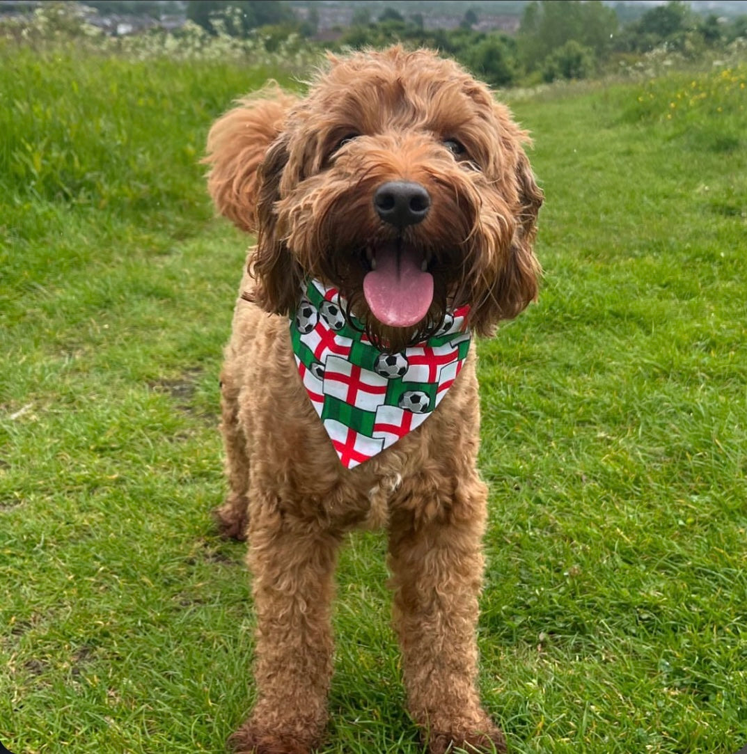 ‘On The Ball ⚽️’ Pet Bandana