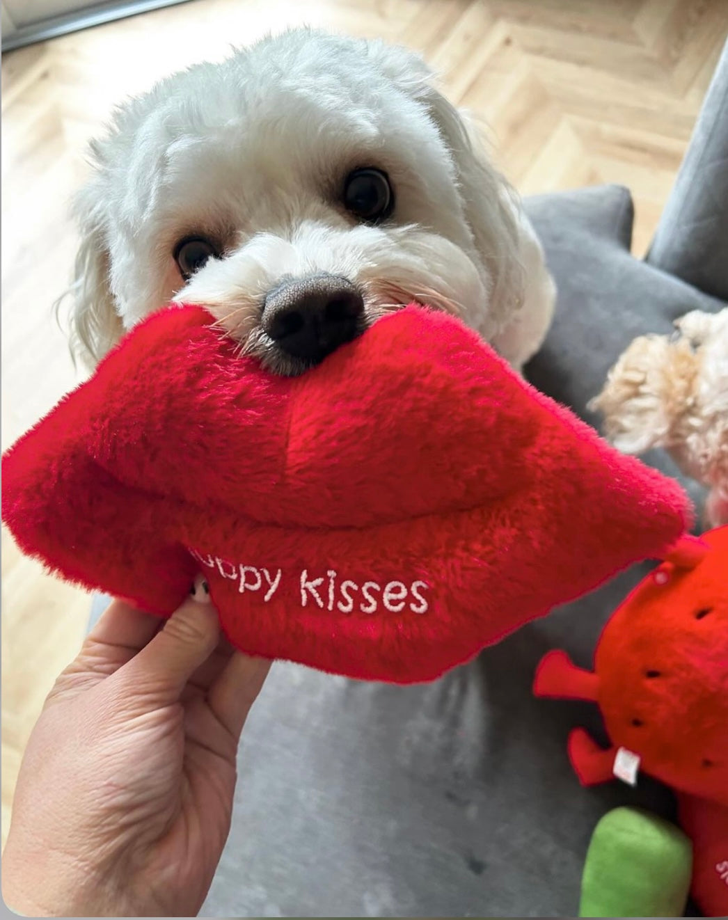 ‘Sloppy Kisses’ Dog Toy