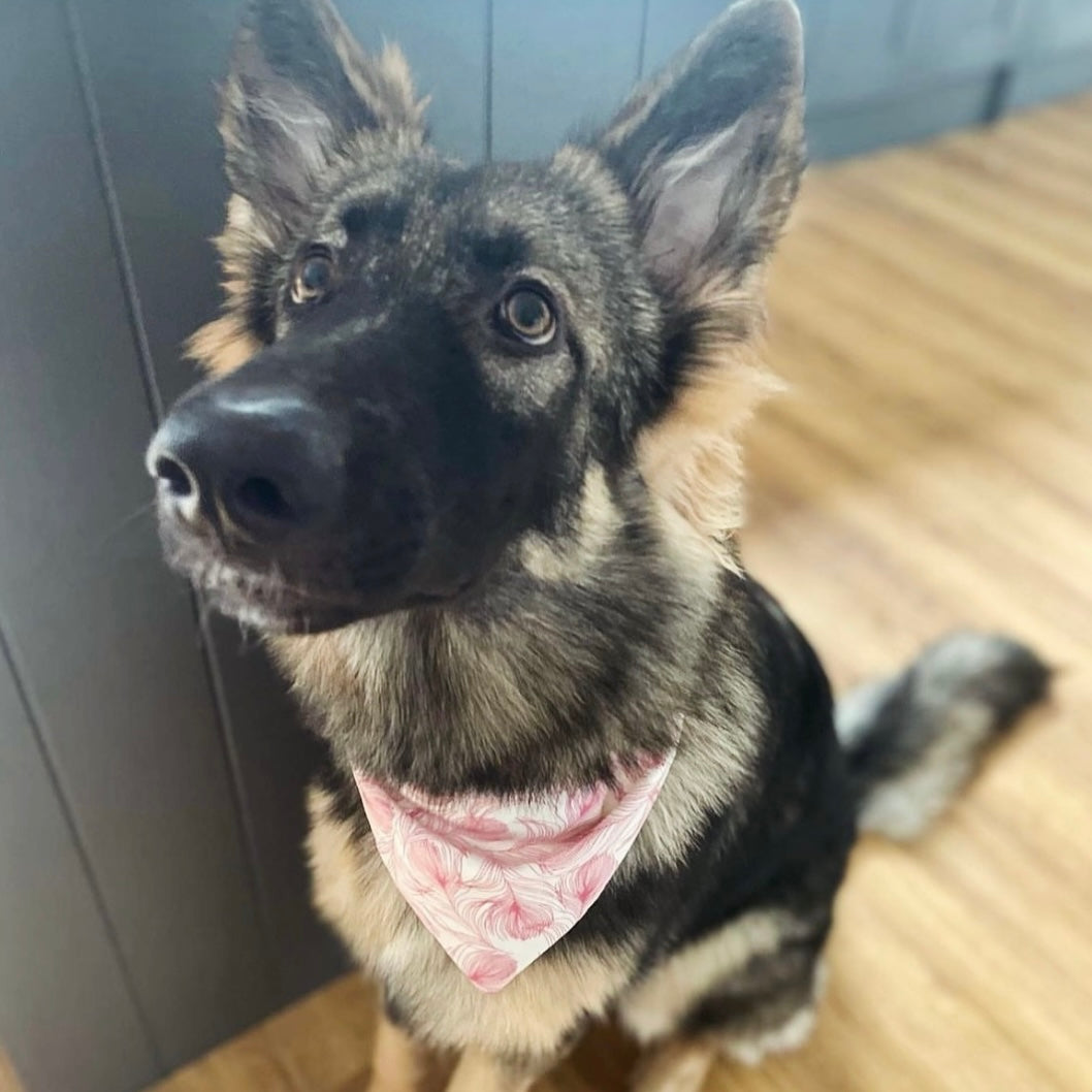 ‘In Fine Feather’ Pet Bandana