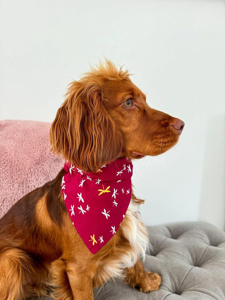 ‘Fly High’ Pet Bandana