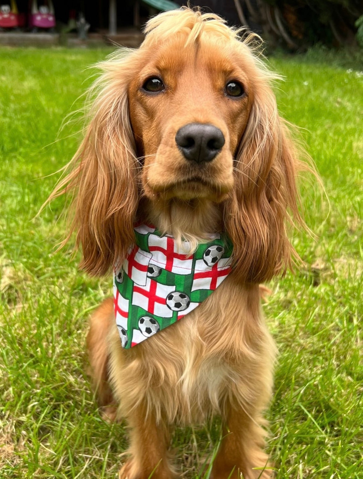 ‘On The Ball ⚽️’ Pet Bandana