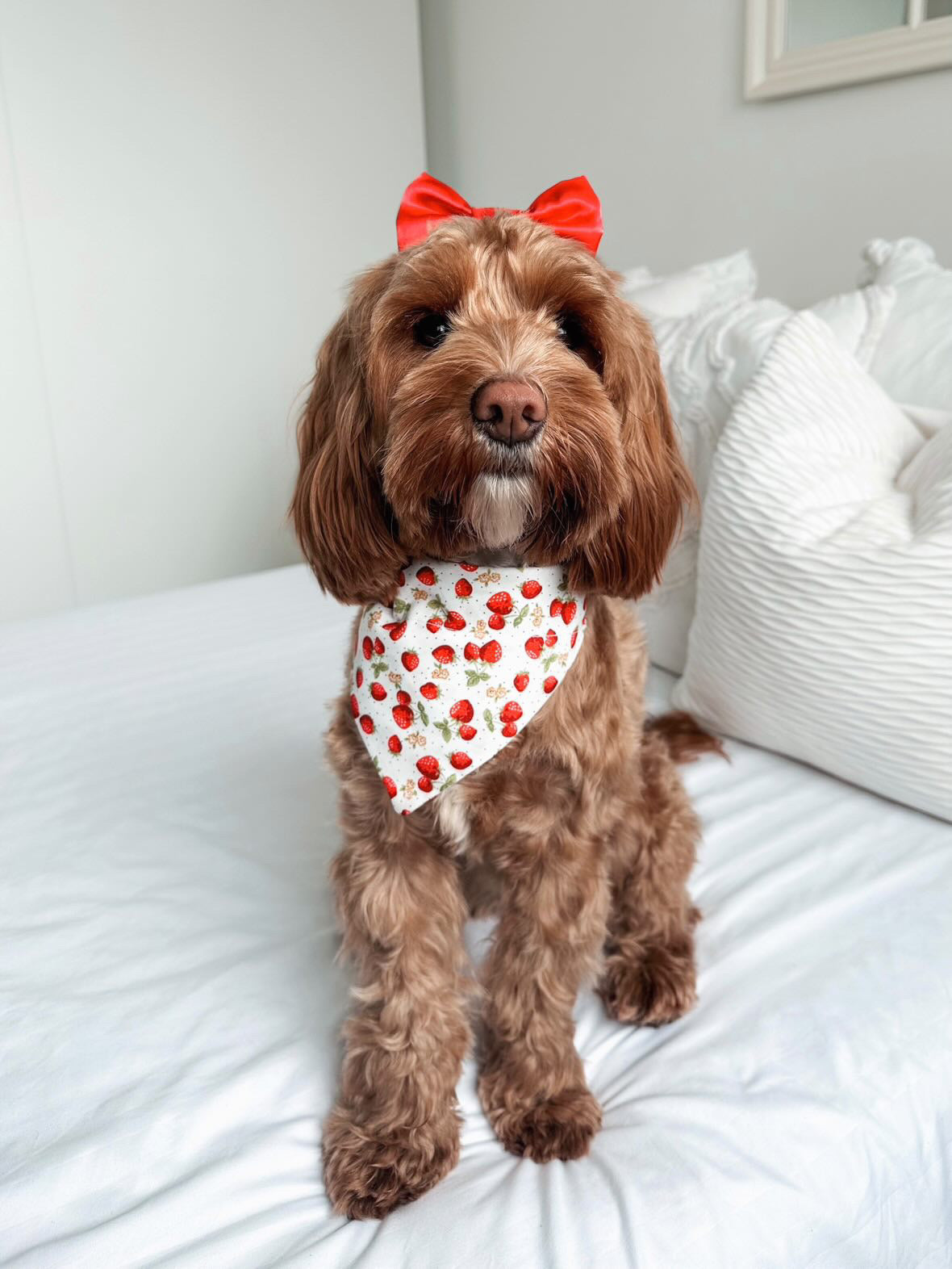 Strawberries & Cream Pet Bandana