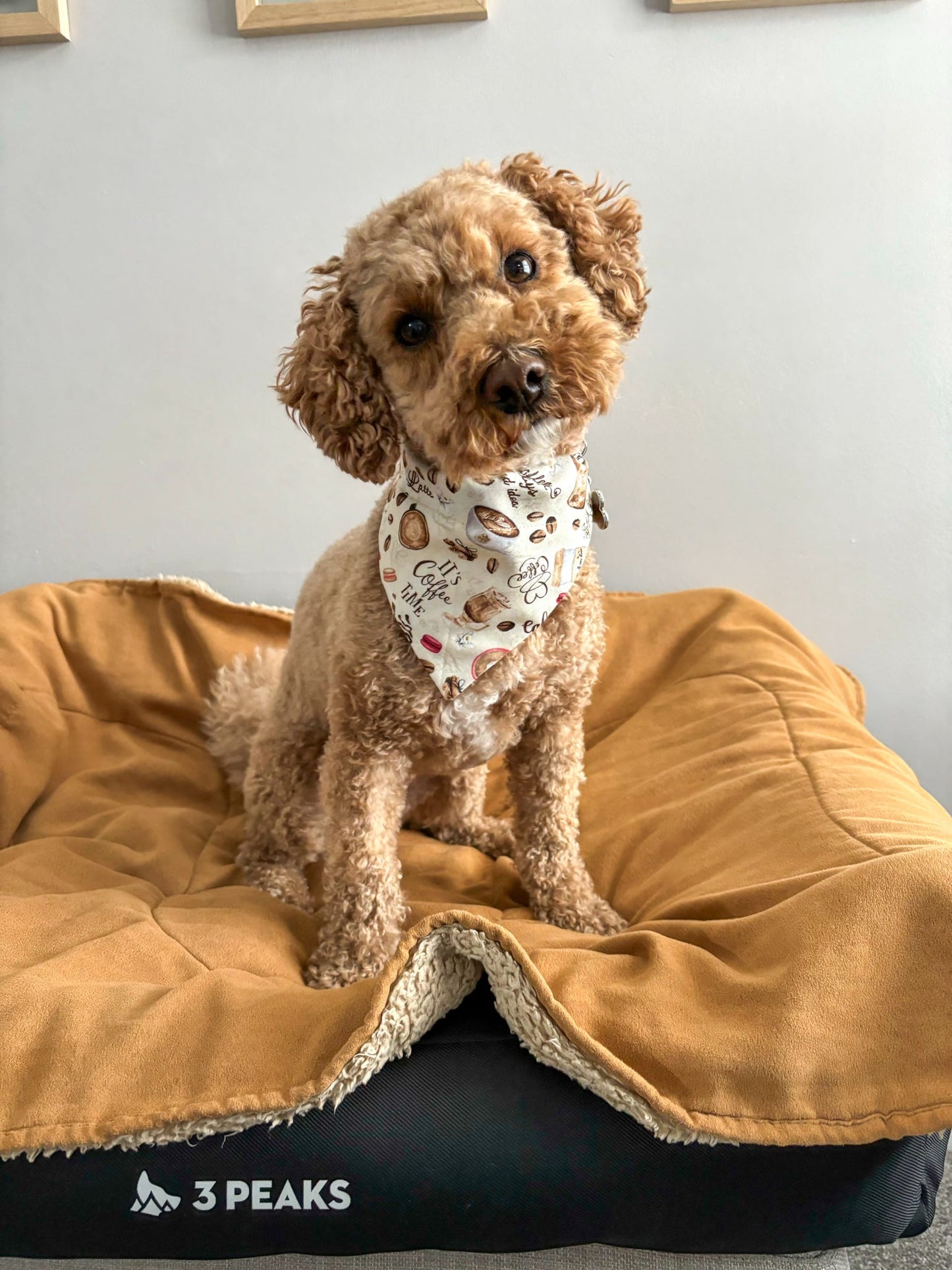 ‘Espresso Yourself’ Pet Bandana