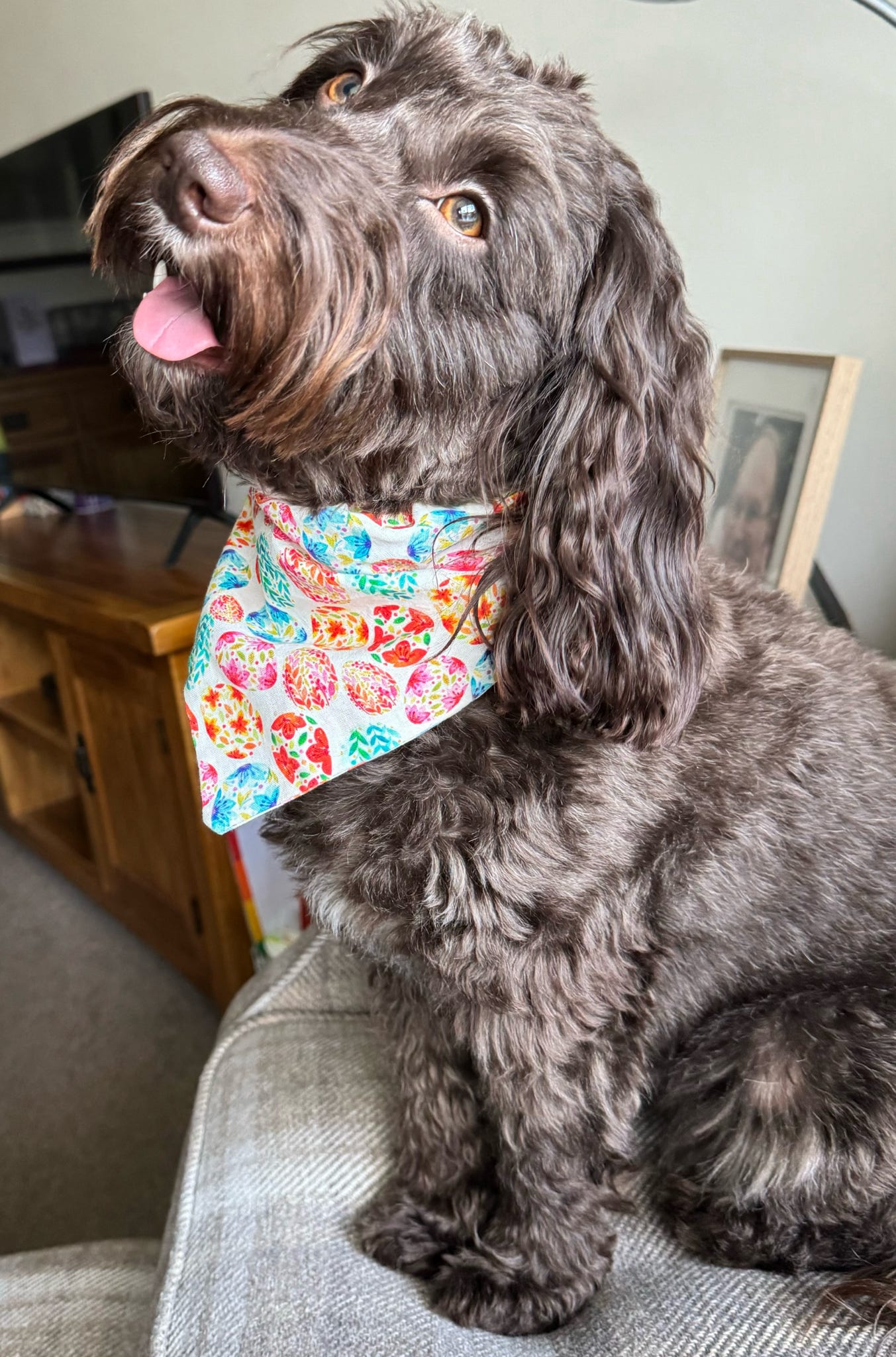 ‘Egg-stra Cute’ Pet Bandana