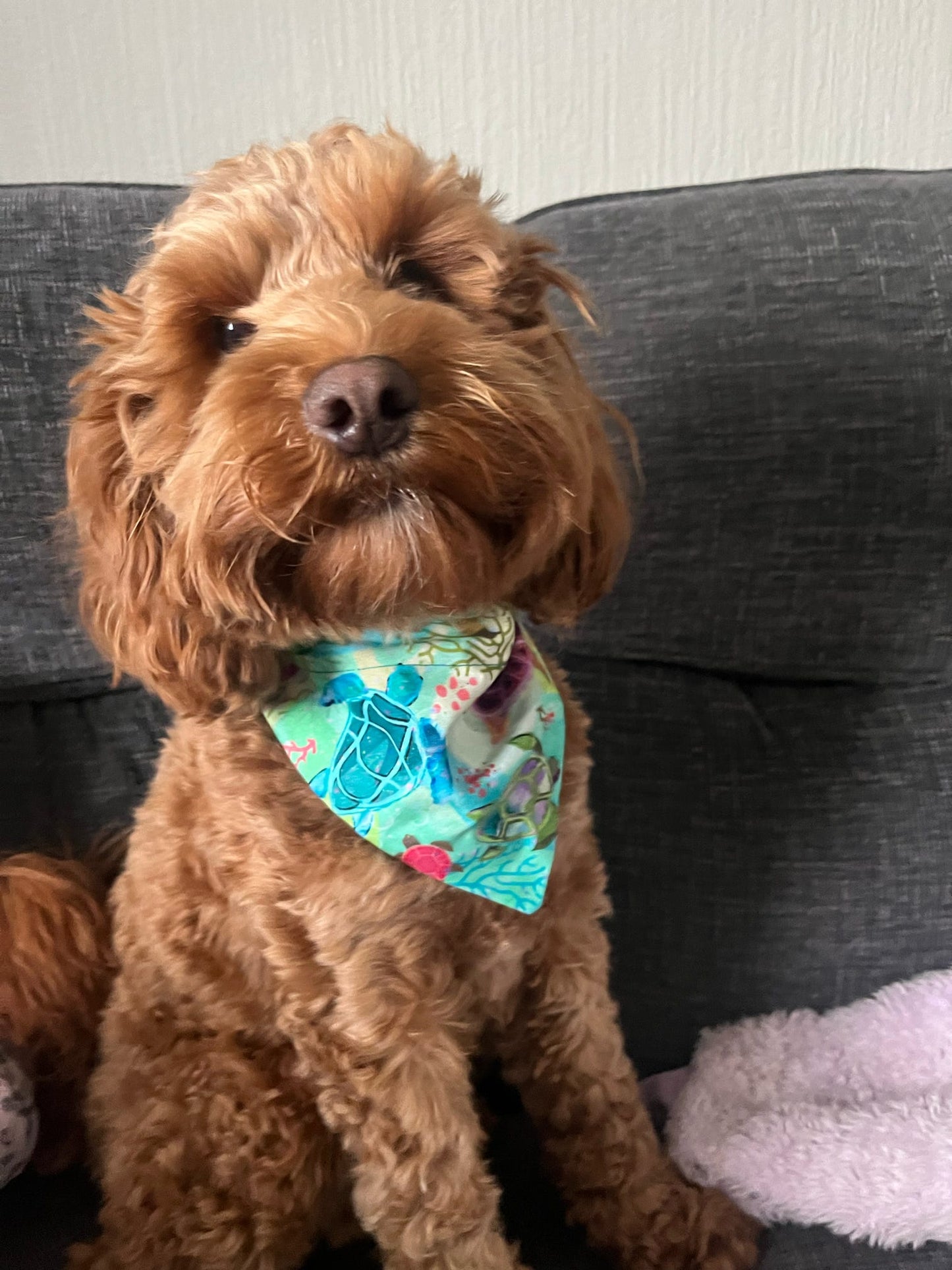 ‘Turtley Awesome’ Pet Bandana