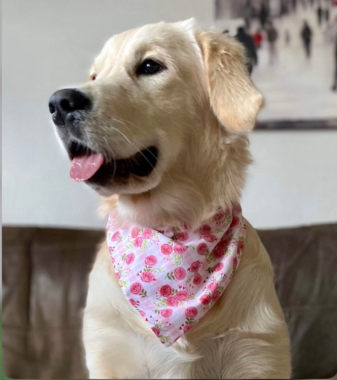 ‘Bloomin’ Lovely’ Pet Bandana