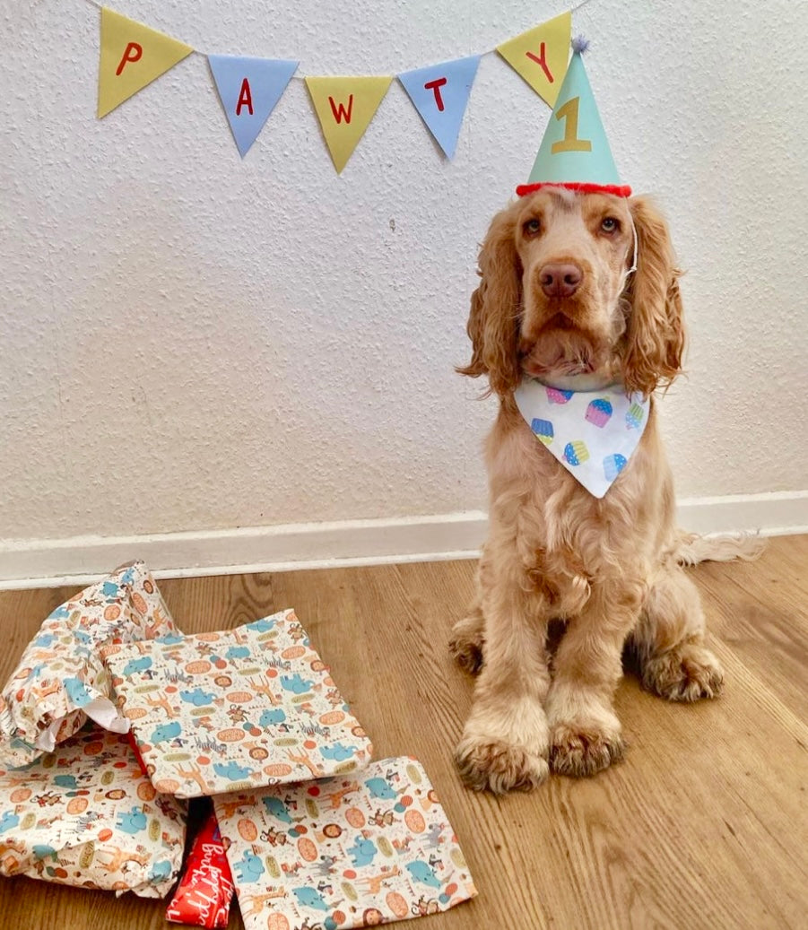 ‘Cupcake Celebration’ Pet Bandana