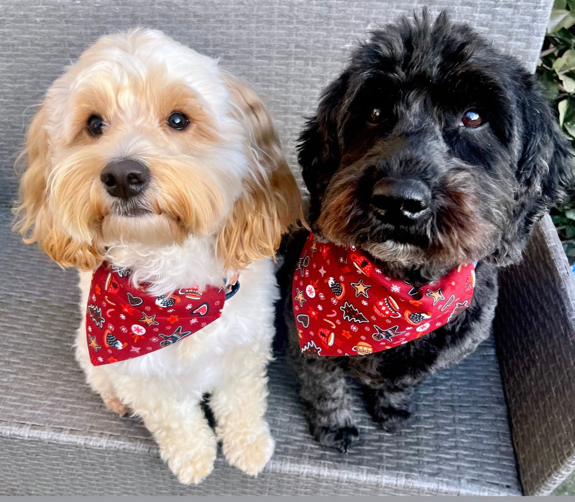 ‘Wag Into Christmas’ (Red) Pet Bandana