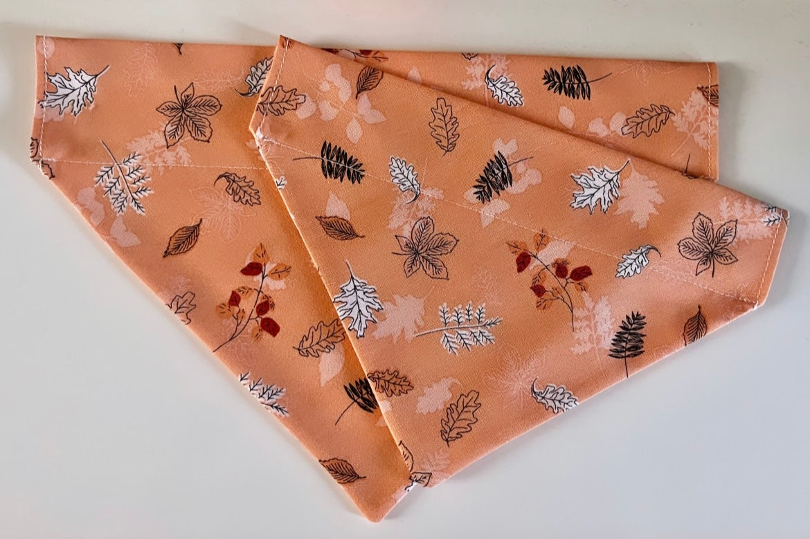 ‘Fall In Love’ Pet Bandana