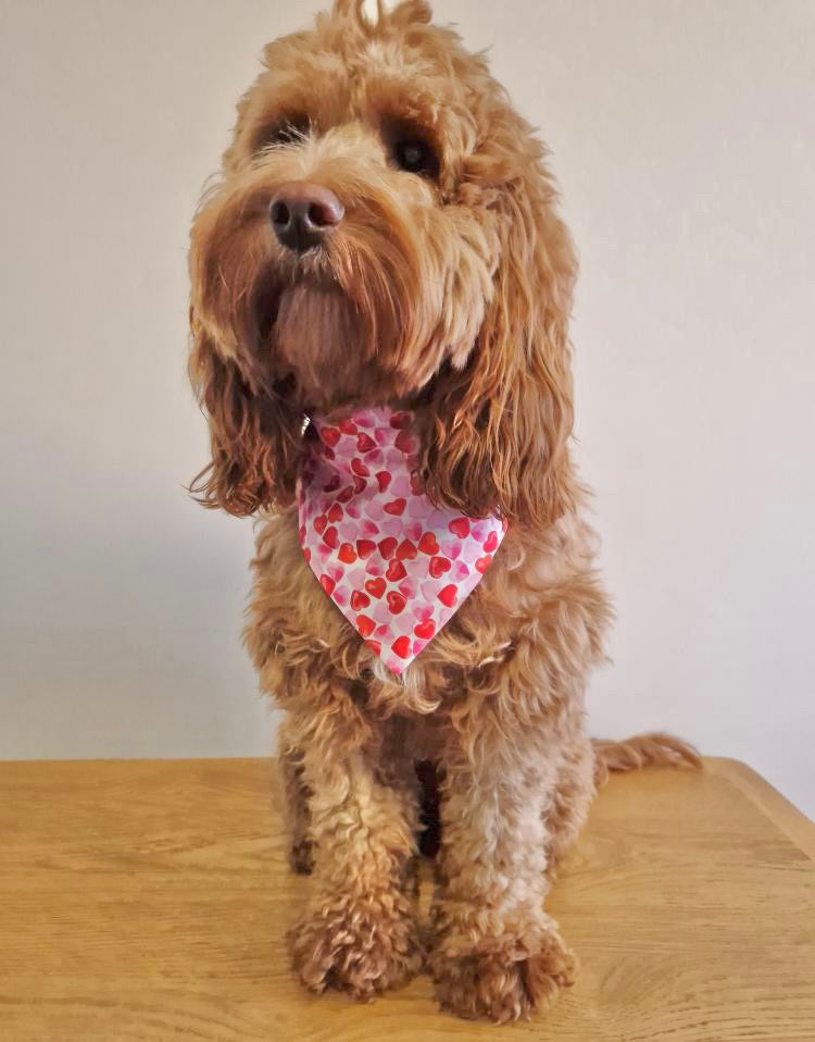 ‘Heart To Heart’ (White) Pet Bandana