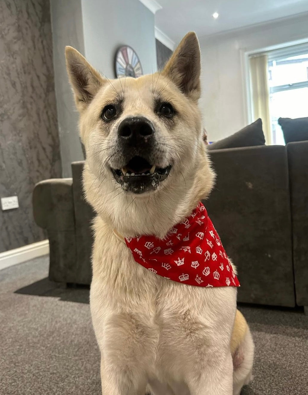 ‘Royal Pup’ (Red) Pet Bandana