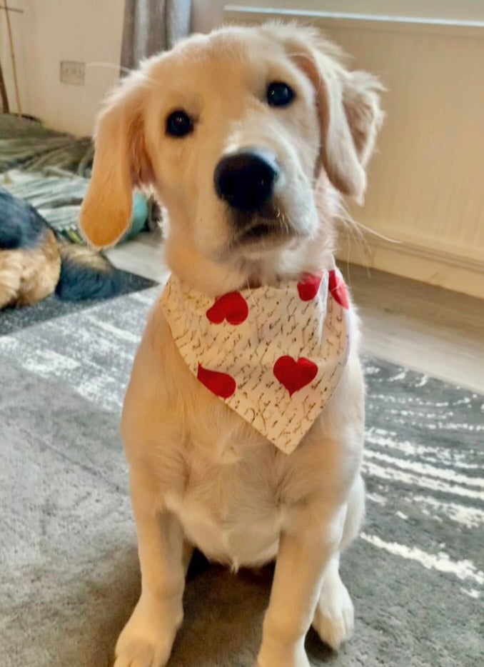 ‘Woof You’ Pet Bandana