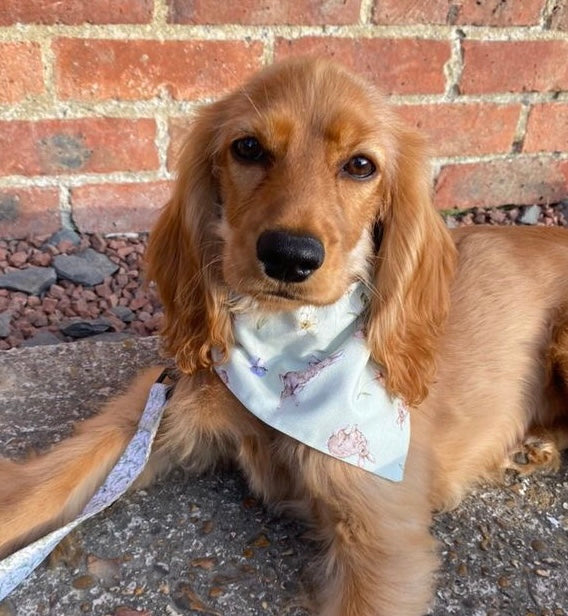 ‘Hoppin’ Into Spring’ Pet bandana