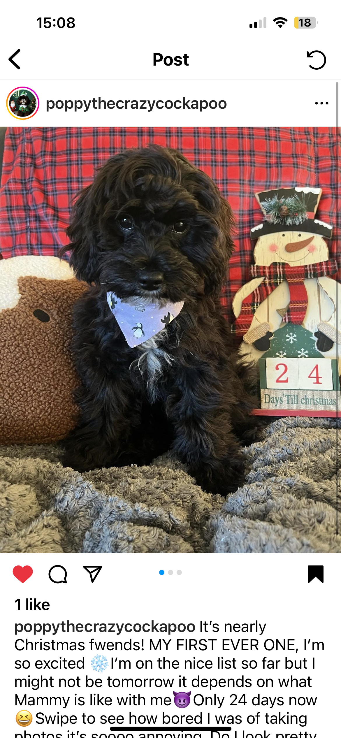 ‘Happy Paws’ Pet Bandana