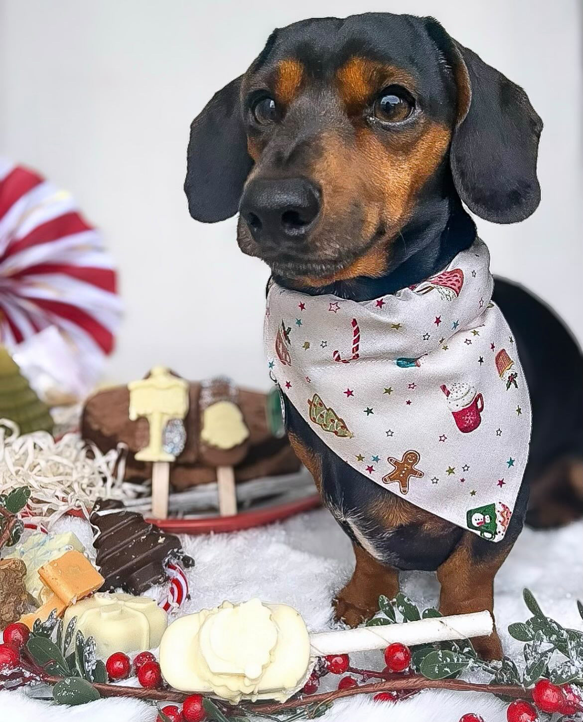 ‘Cosy Christmas’ Pet Bandana