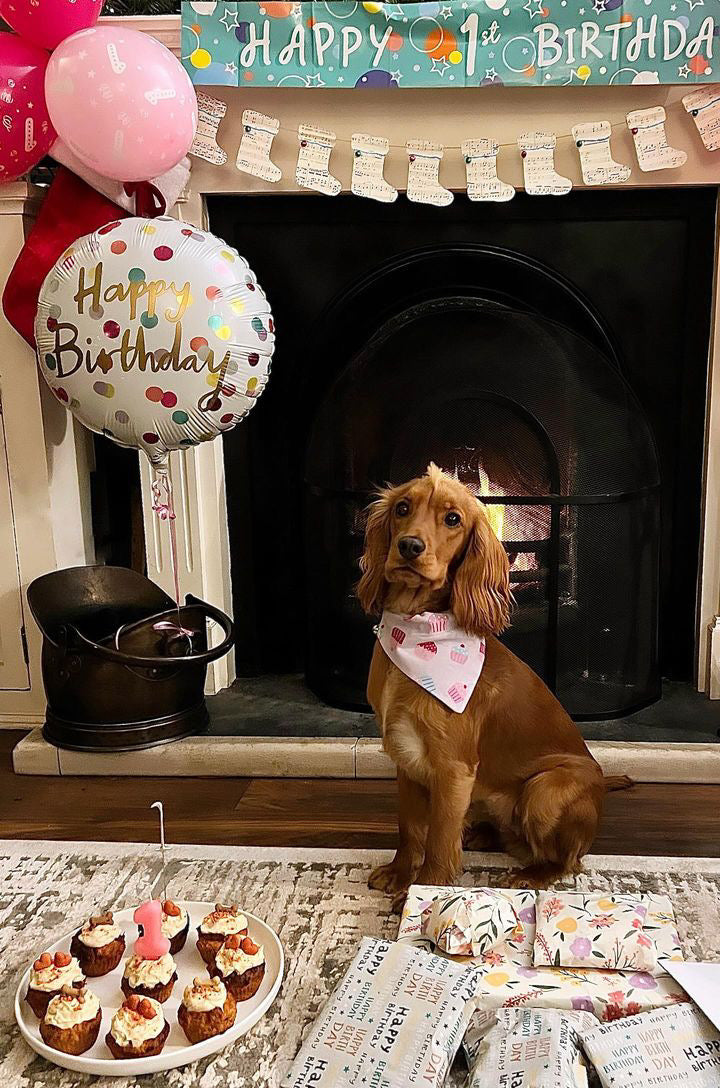 ‘Cupcake Celebration’ Pet Bandana