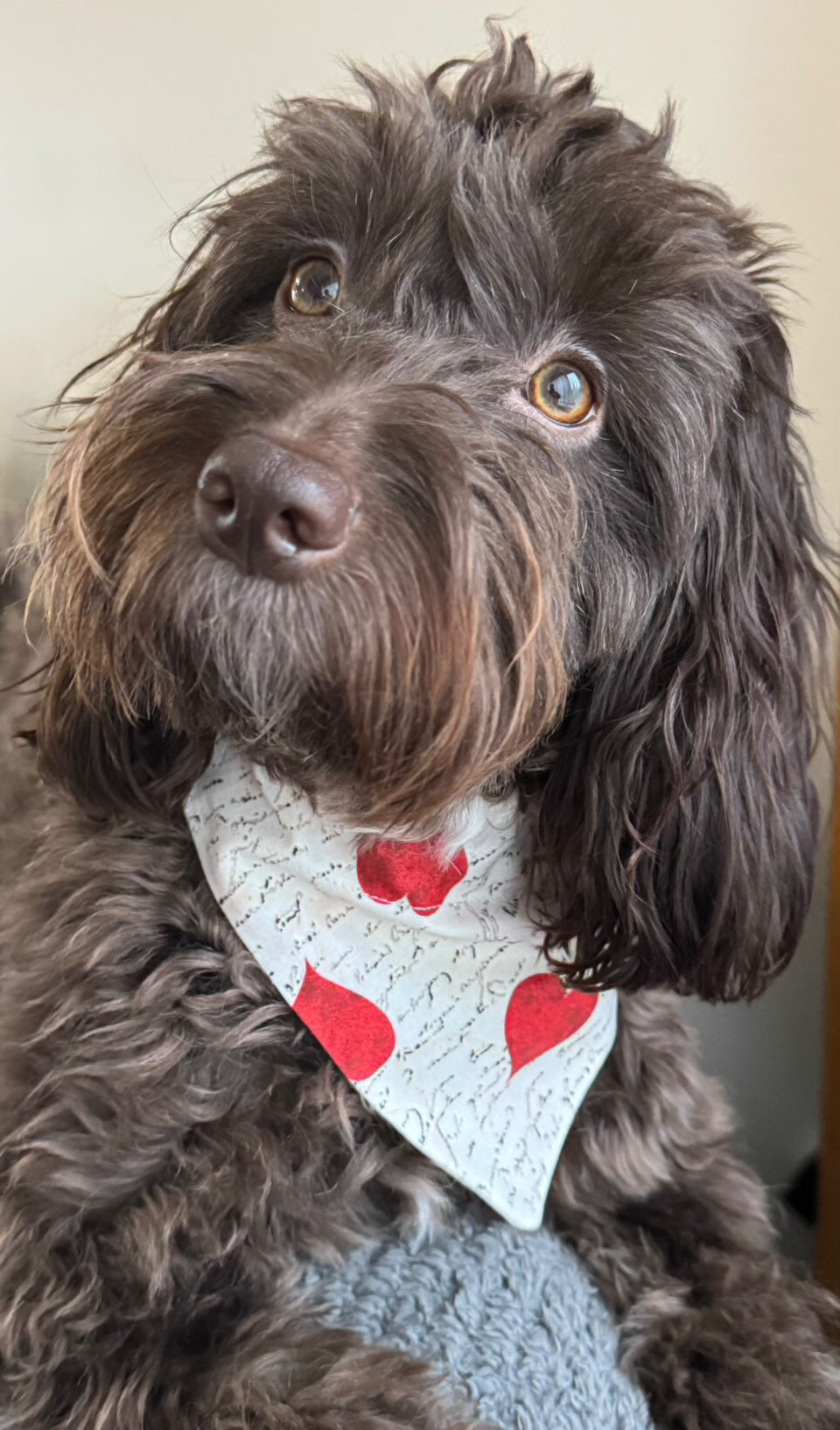 ‘Woof You’ Pet Bandana