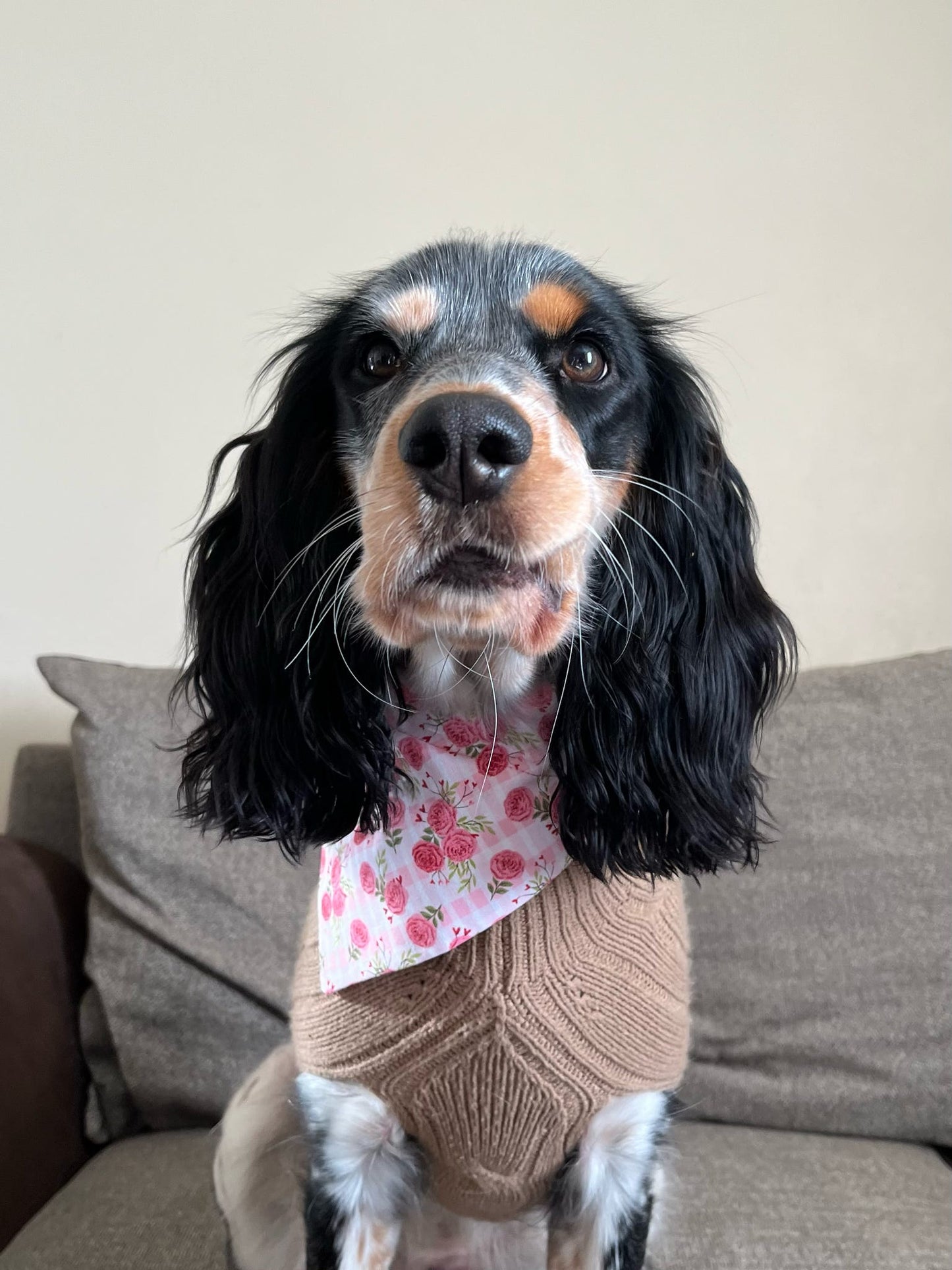 ‘Bloomin’ Lovely’ Pet Bandana