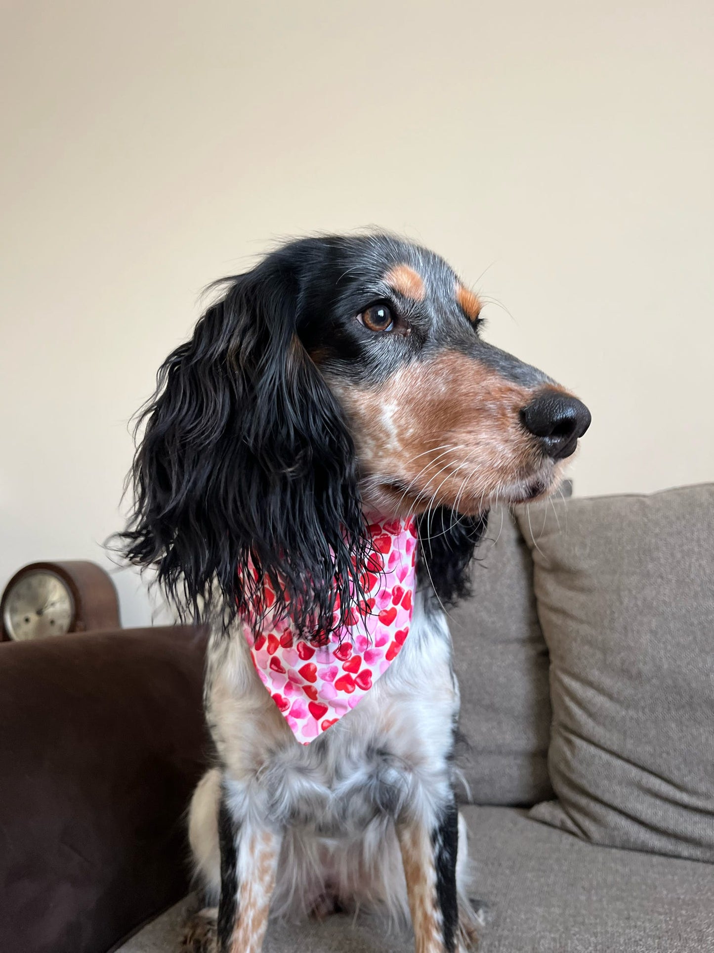 ‘Heart To Heart’ (White) Pet Bandana