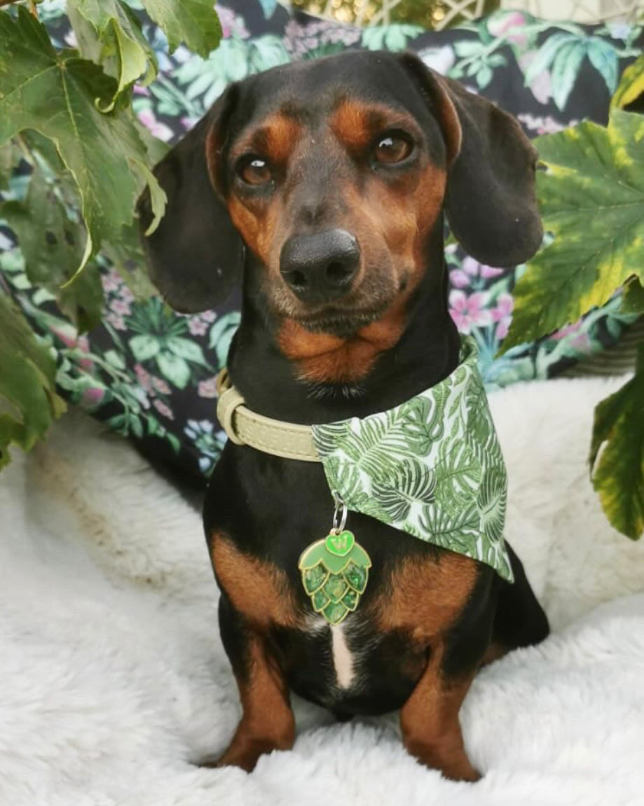 ‘Safari So Good’ Pet Bandana