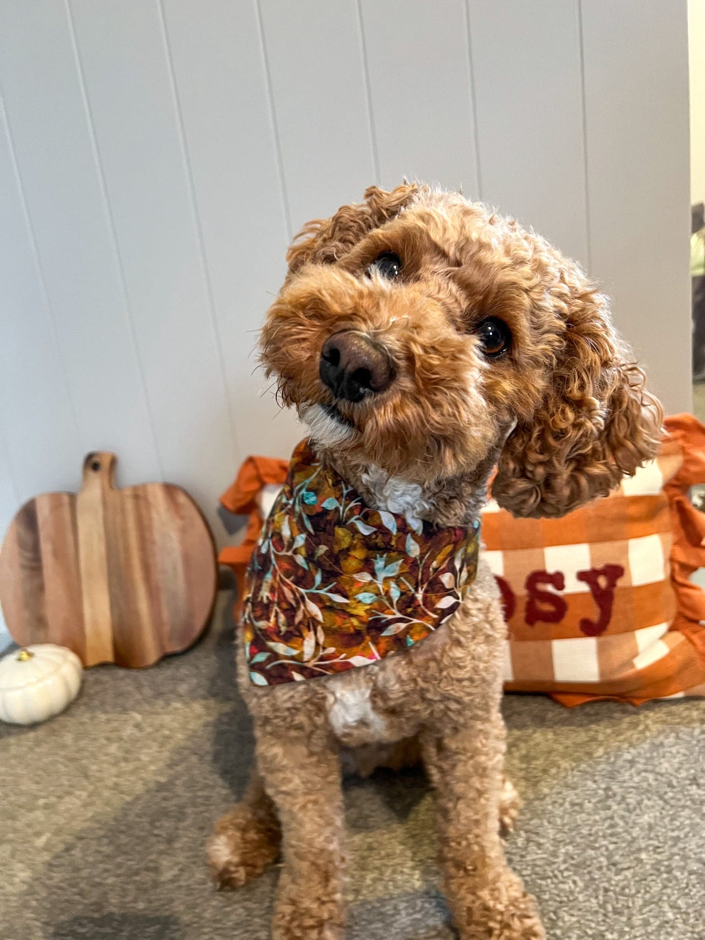 ‘Autumn Leaves’ Pet Bandana