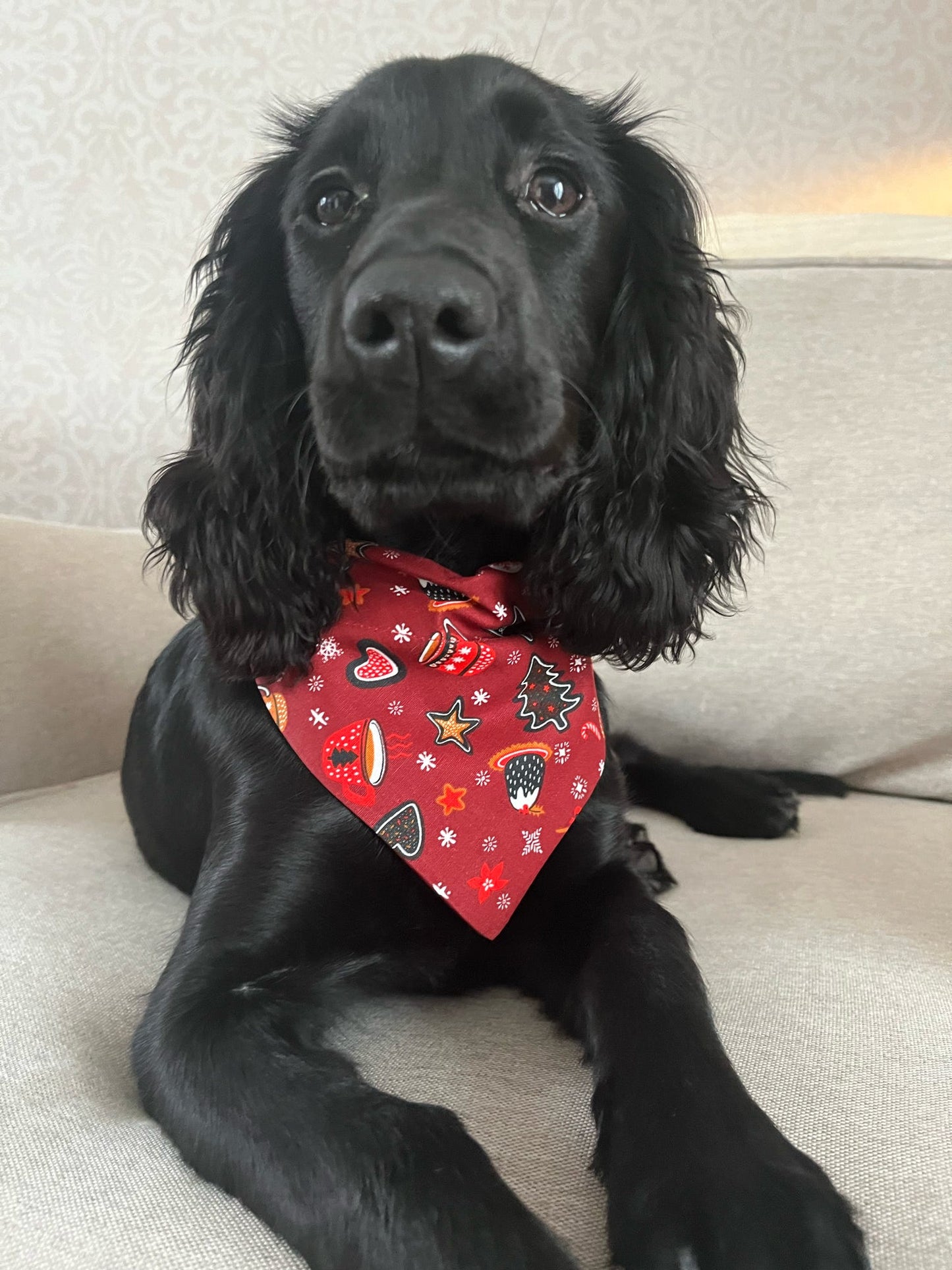 ‘Wag Into Christmas’ (Red) Pet Bandana