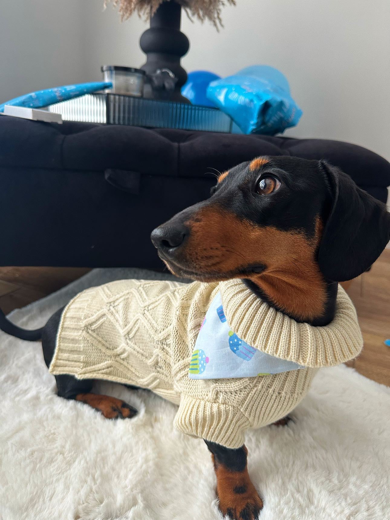 ‘Cupcake Celebration’ Pet Bandana