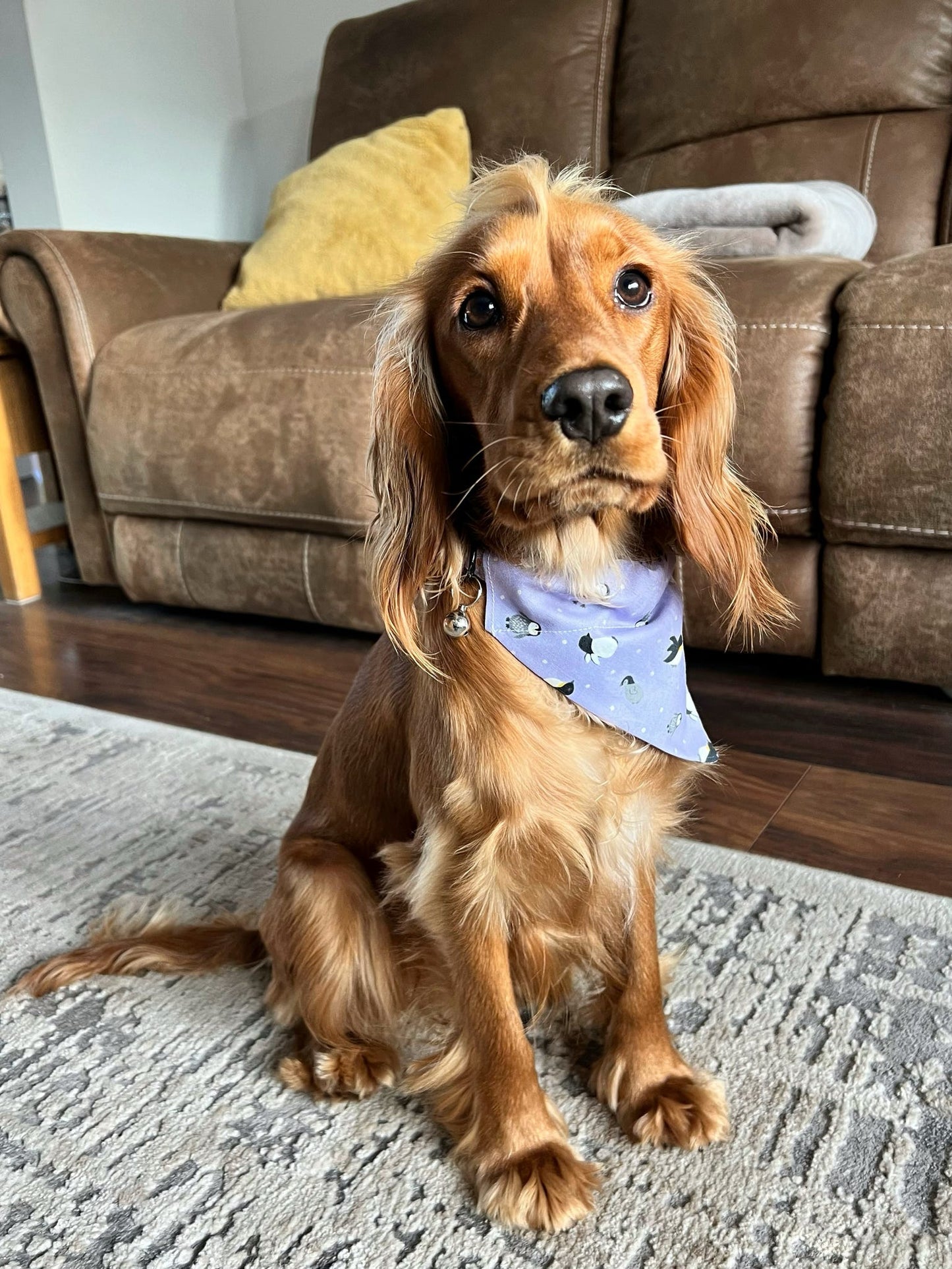 ‘Happy Paws’ Pet Bandana