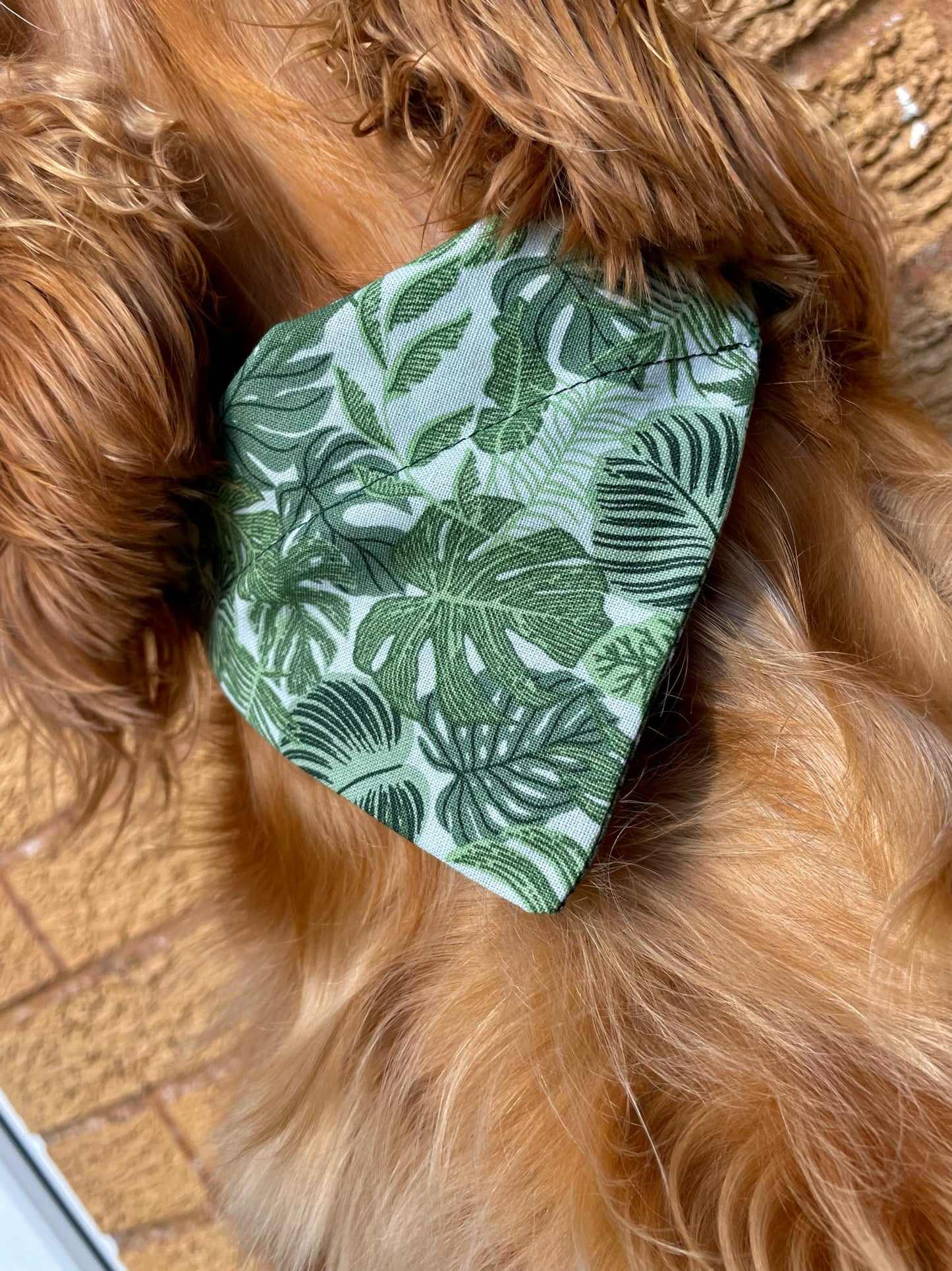 ‘Safari So Good’ Pet Bandana