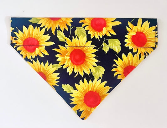 Chasing The Sun’ Pet Bandana