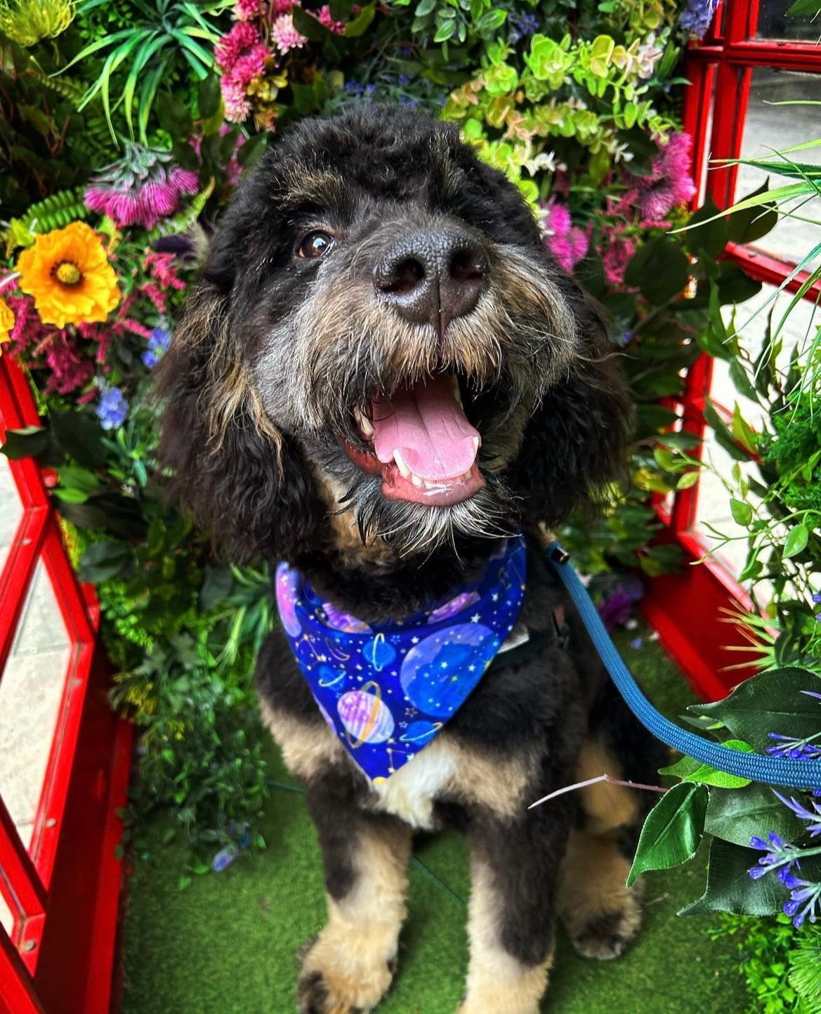 ‘Out Of This World’ Pet Bandana