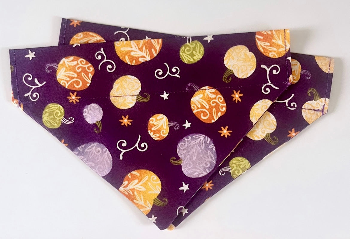 ‘Pumpkin Spice’ Pet Bandana