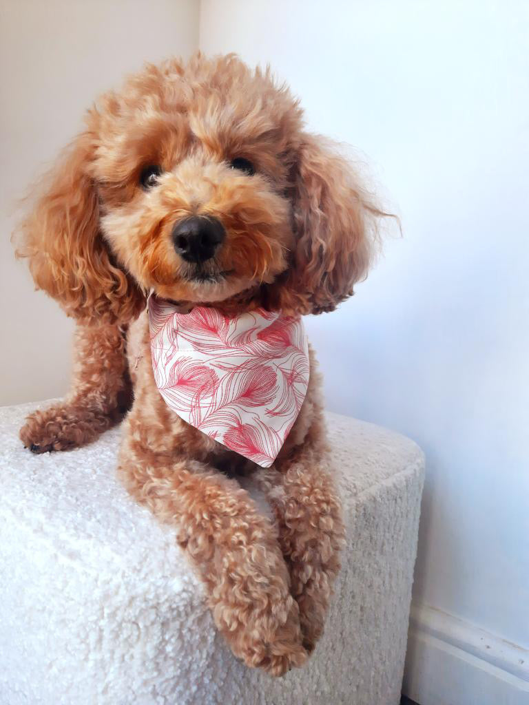 ‘In Fine Feather’ Pet Bandana