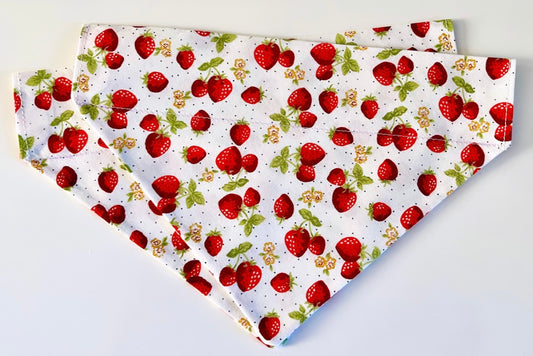 Strawberries & Cream Pet Bandana