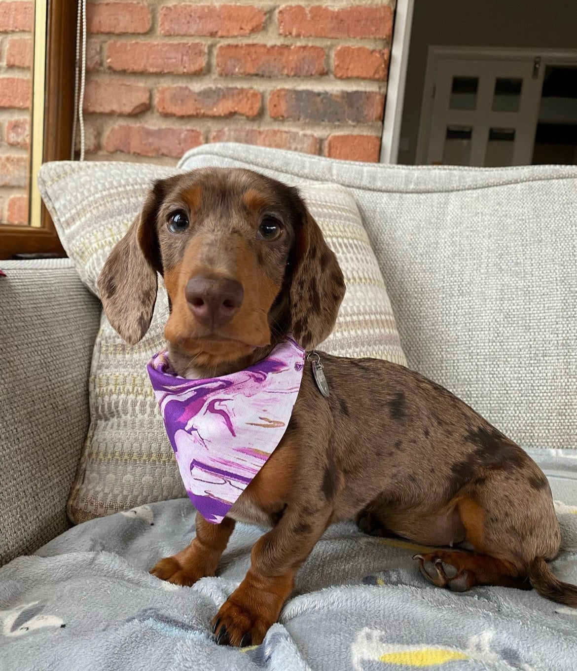 ‘Marbleous’ Pet Bandana