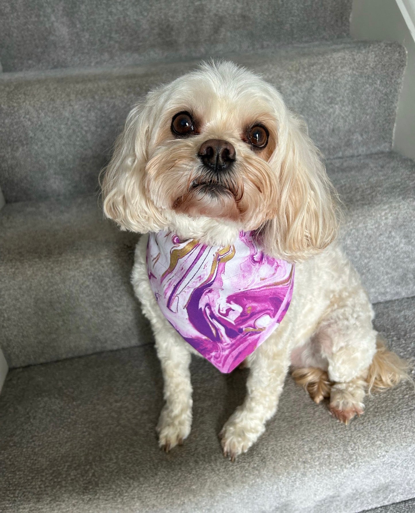 ‘Marbleous’ Pet Bandana