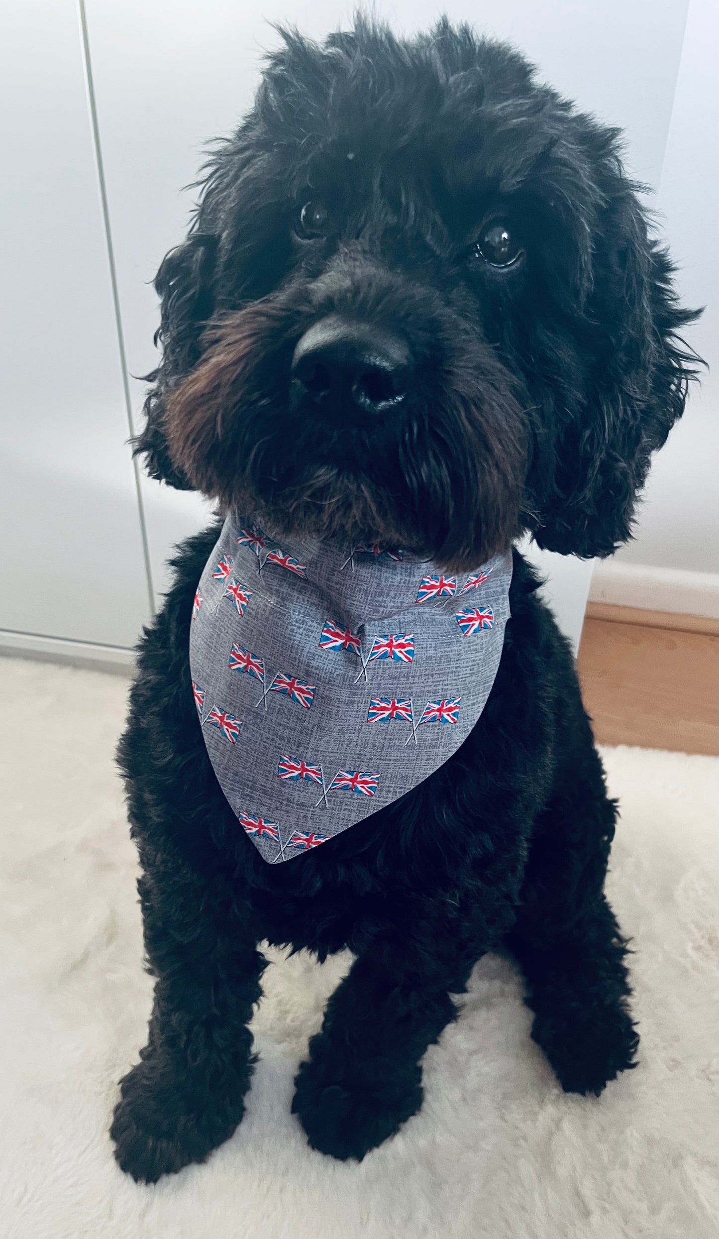 Union Jack Pet Bandana