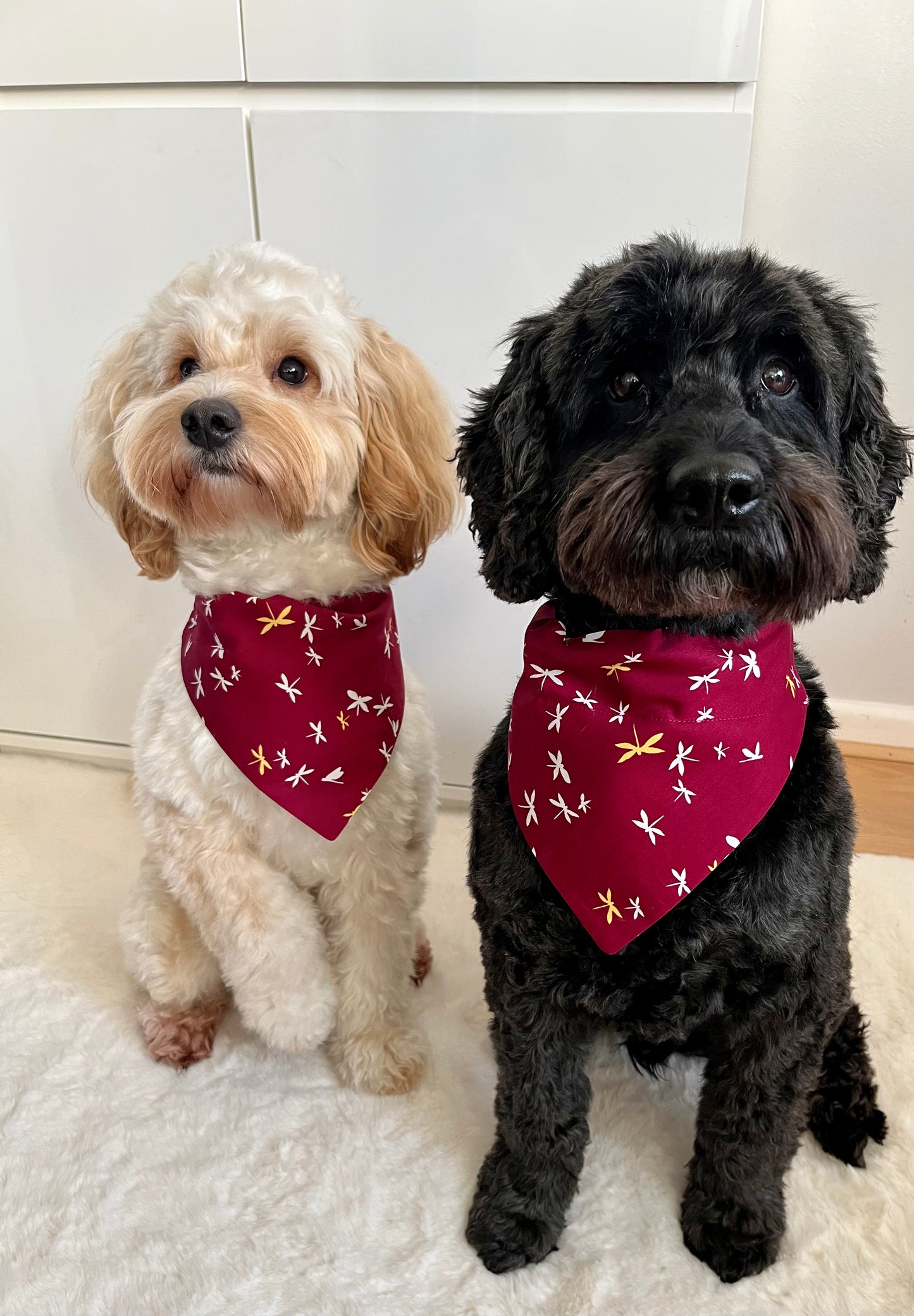 Cockapoo bandana clearance