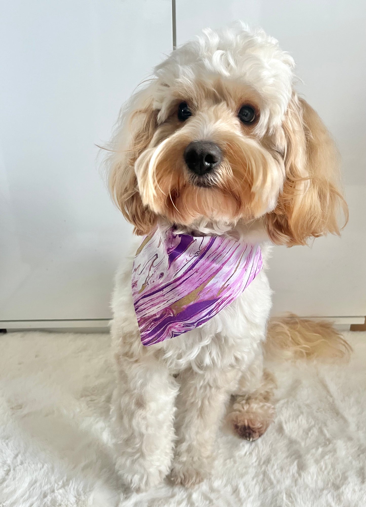 ‘Marbleous’ Pet Bandana