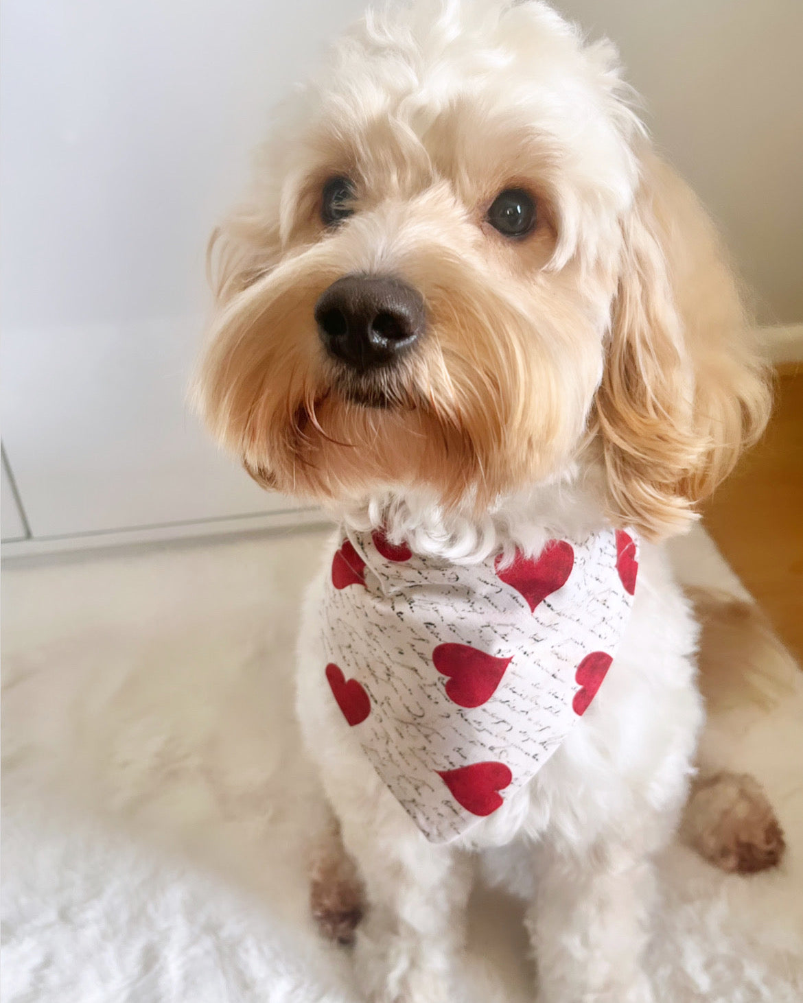 ‘Woof You’ Pet Bandana