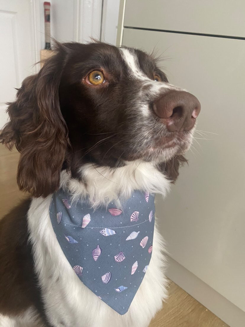 'Shell Yeah!' (Grey) Pet Bandana