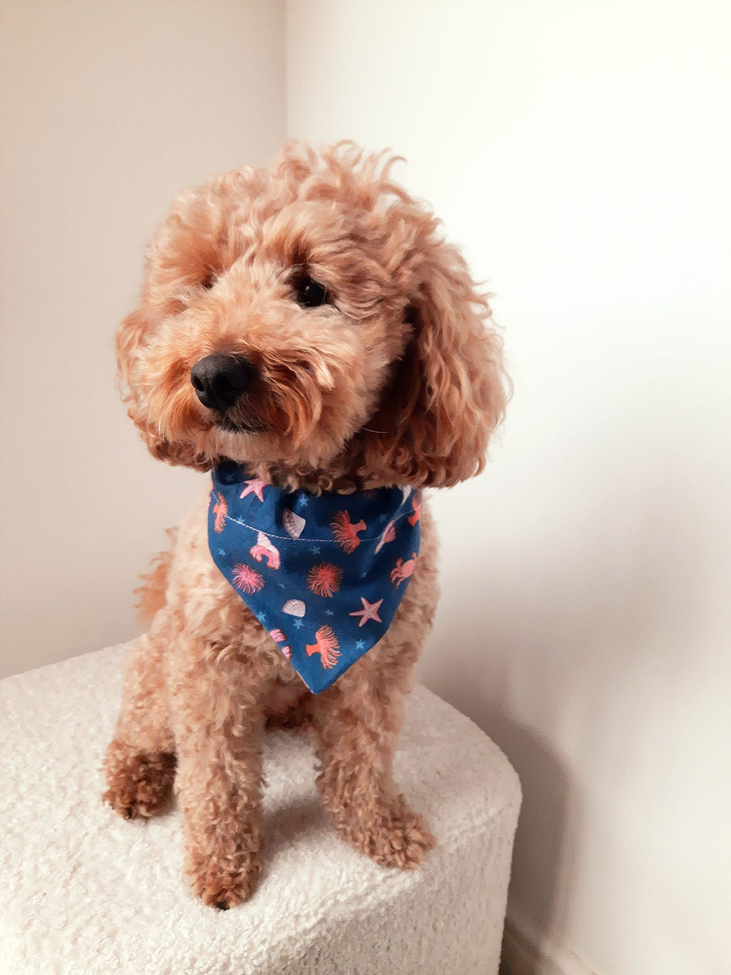 ‘Under The Sea’ Pet Bandana