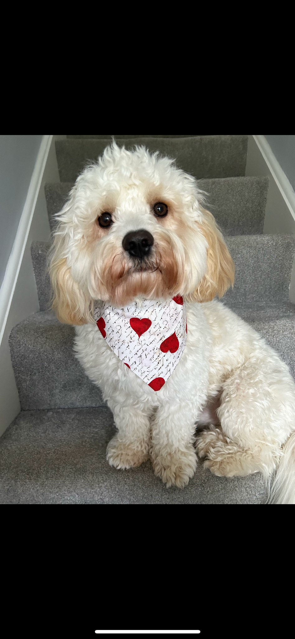 ‘Woof You’ Pet Bandana