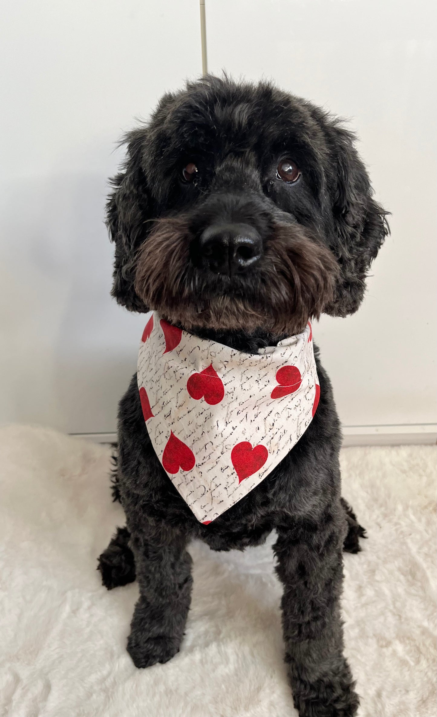 ‘Woof You’ Pet Bandana