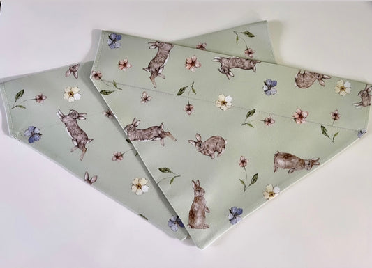 ‘Hoppin’ Into Spring’ Pet bandana