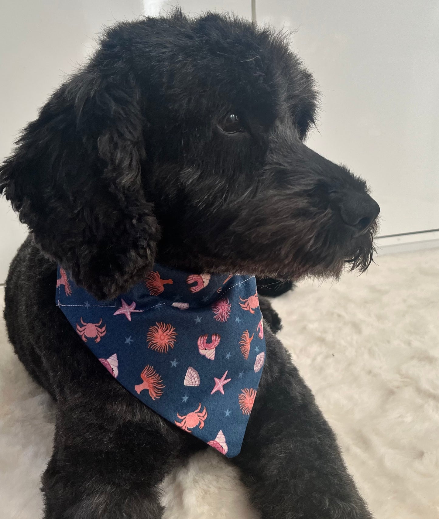 ‘Under The Sea’ Pet Bandana