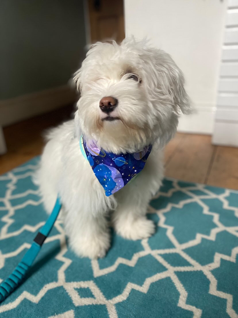 ‘Out Of This World’ Pet Bandana