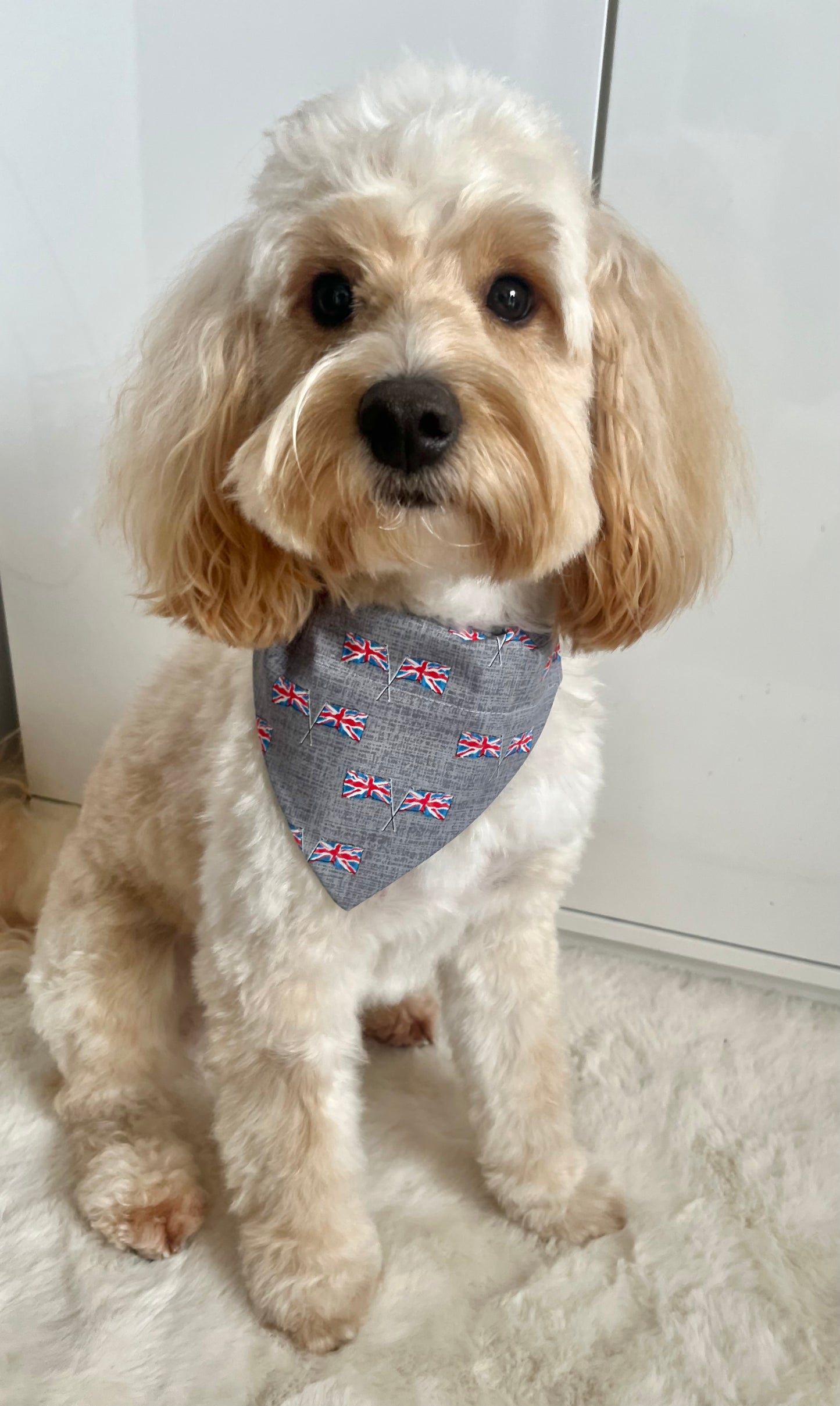 Union Jack Pet Bandana